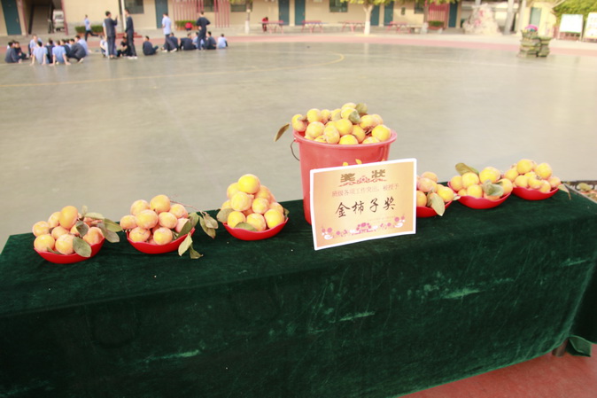 20181023100013__MG_2229.JPG