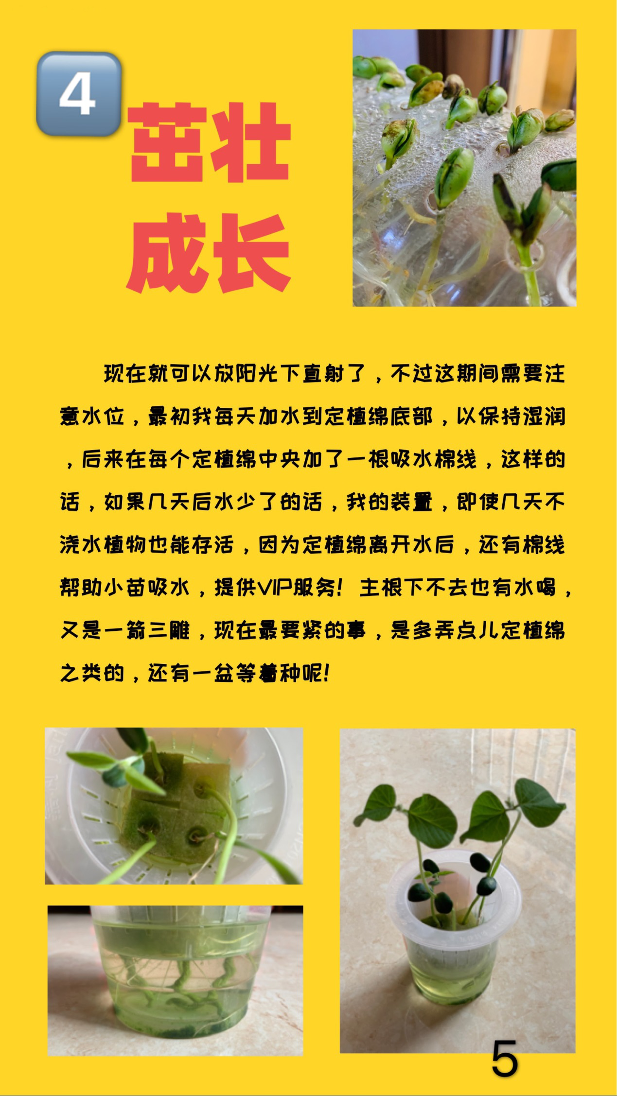 图片6.png 图片6.png