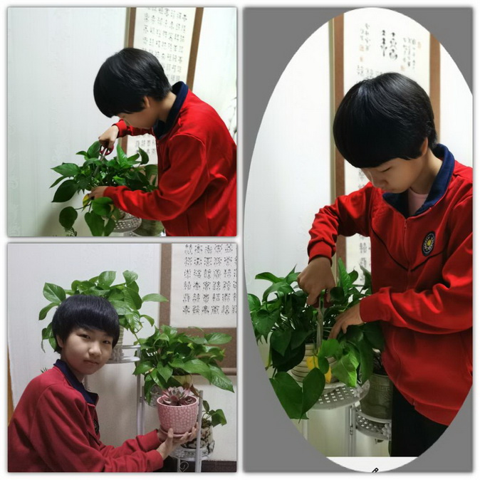 20200317195112_微信图片_20200315094208.jpg