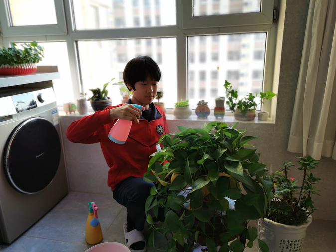 20200317195113_微信图片_20200313222910.jpg