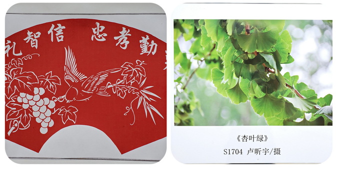 22_调整大小.jpg